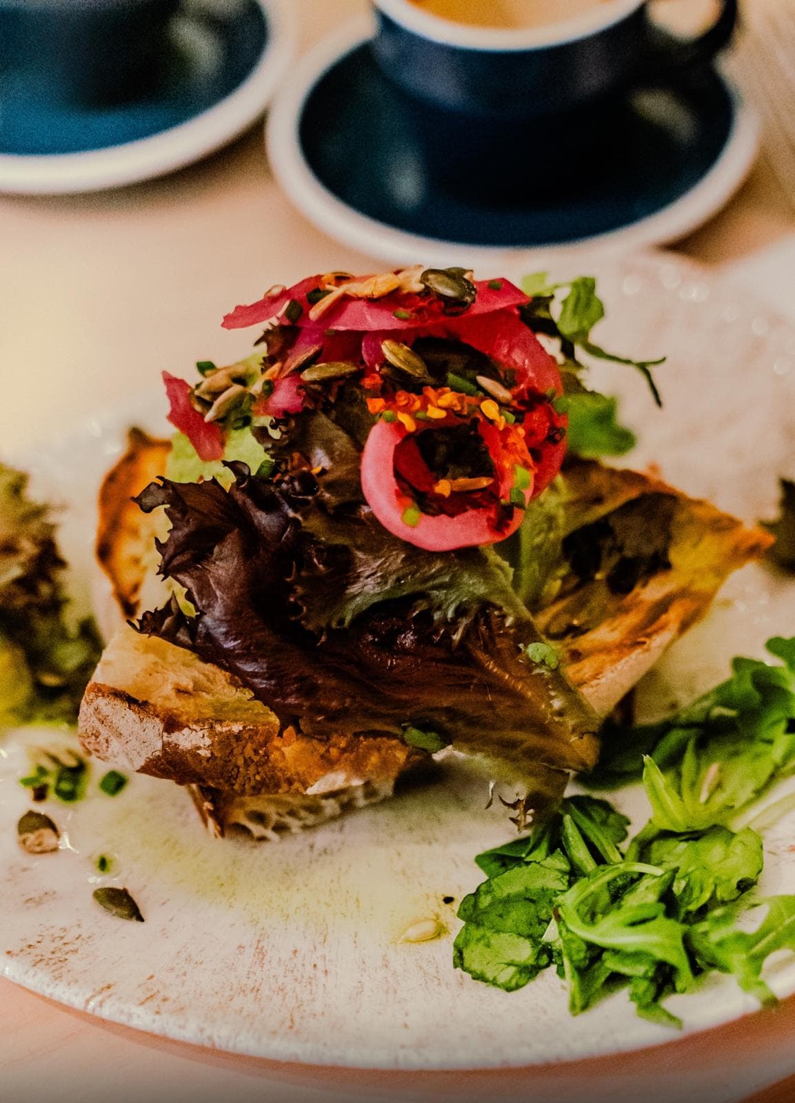Toast garni d'oignons rouges et de salade